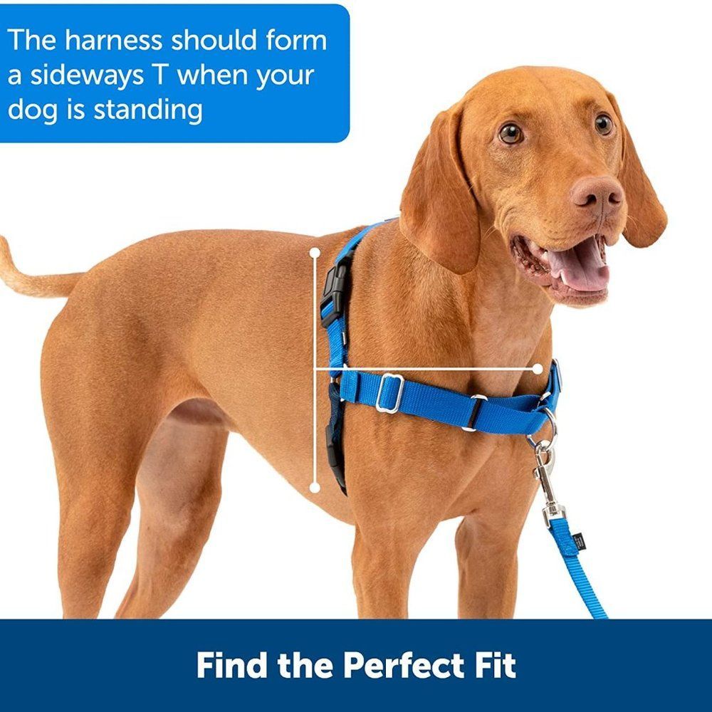(1506) PetSafe Easy Walk Dog Harness, Black/Silver , Petite - Picture 6 of 8